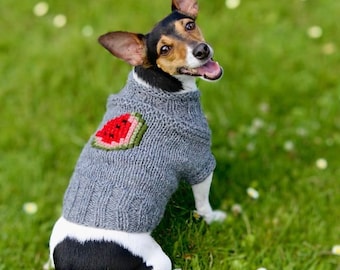Handmade woolen dog sweater - Handmade dog sweater - Wool dog sweater - watermelon dog sweater - watermelon dog jumper - trend dog jumper
