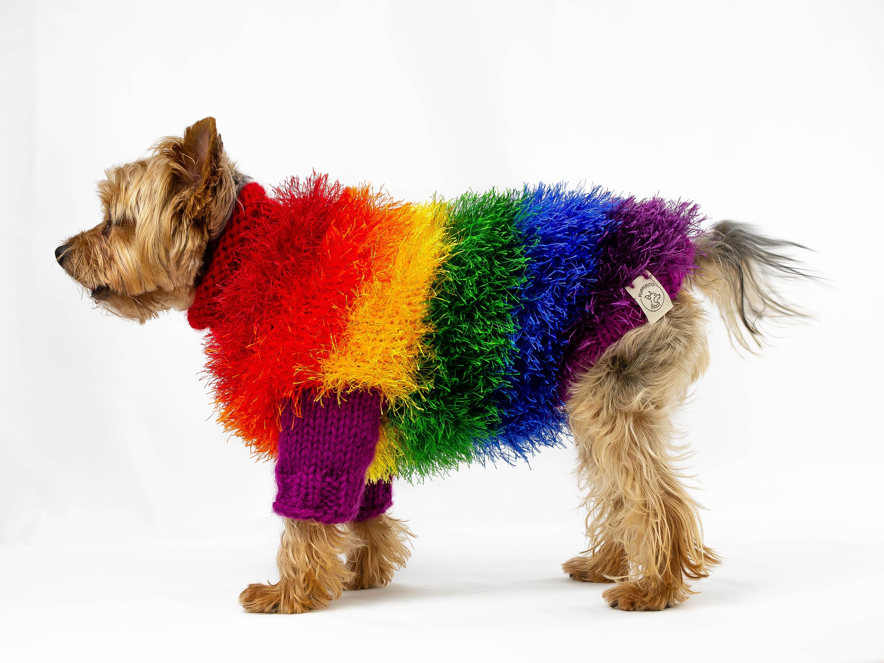 rainbow dog jumper