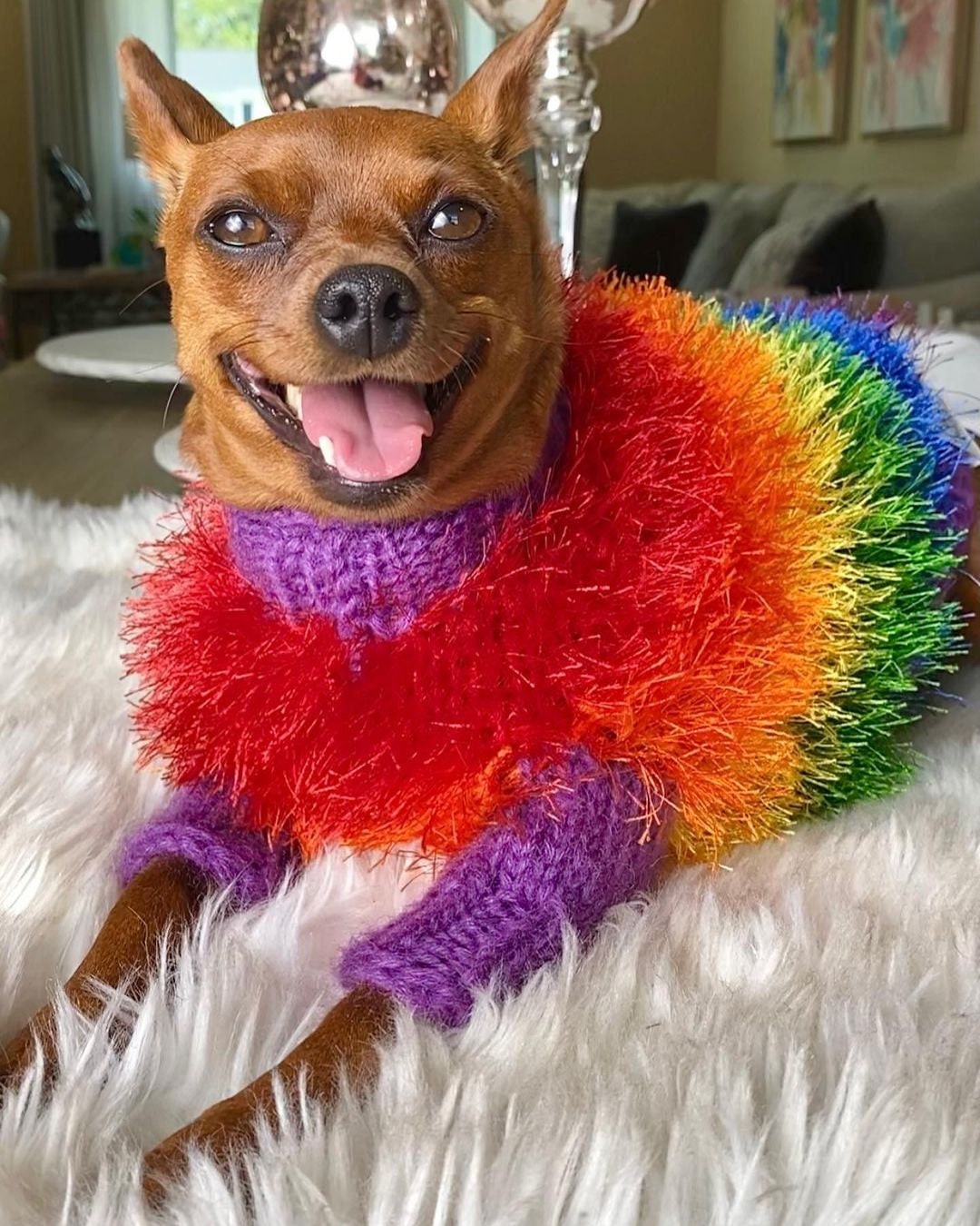 Dog Sweaters For Chihuahuas