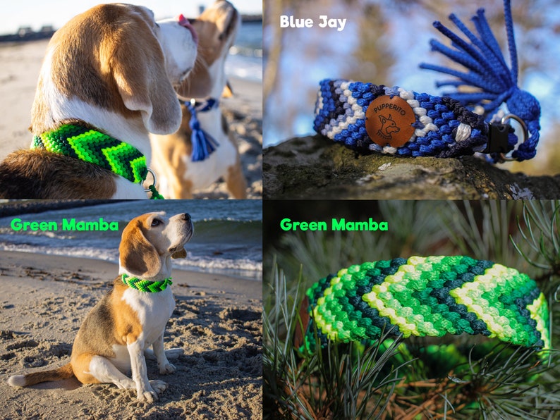 Handbraided vegan paracord ID tag dog collar with tassels Custom colorful handmade house collar with tassesl Customize your colours image 7