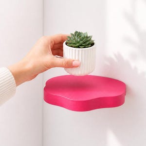 May include: A bright pink, cloud-shaped floating wall shelf mounted in a corner. A small, white, vertically ribbed ceramic planter containing a green succulent is positioned just above the surface of the pink shelf.