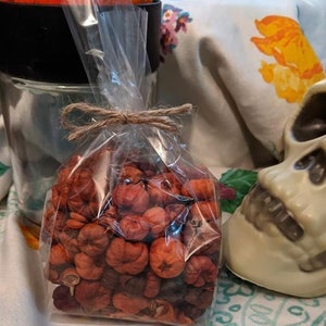Scented Putka Pods 2oz Autumn Pumpkin Spice Pumpkins Fall Halloween