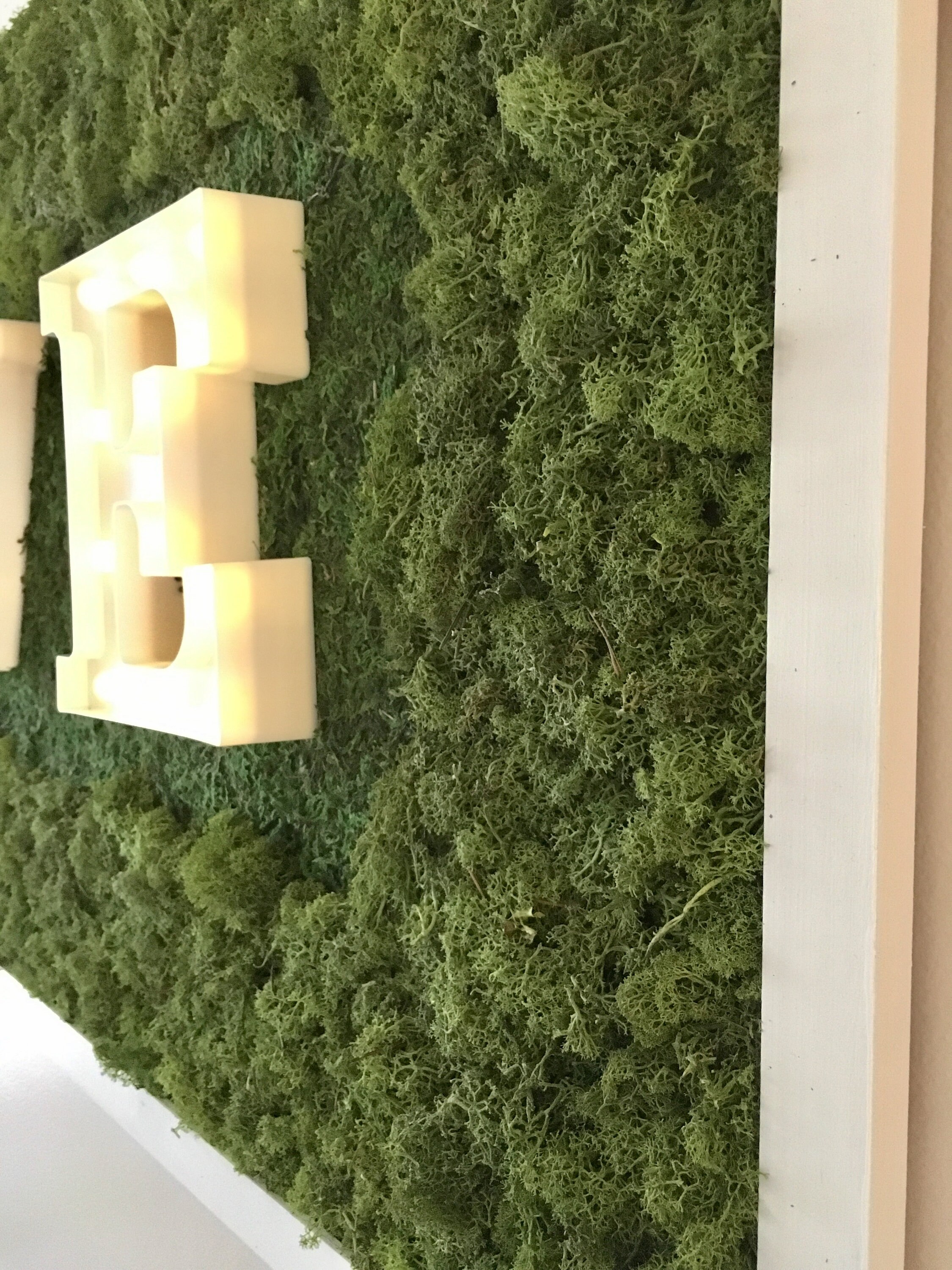 Moss Wall Art Frame Etsy