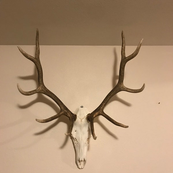 Large European mount hanger