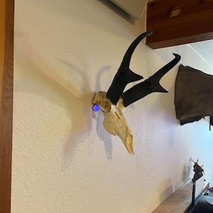 Invisible euro hangers