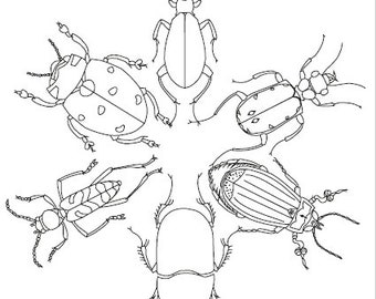 British Beetles embroidery pattern PDF