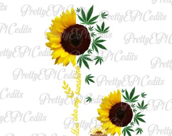 Free Free Sunflower Pot Leaf Svg 735 SVG PNG EPS DXF File