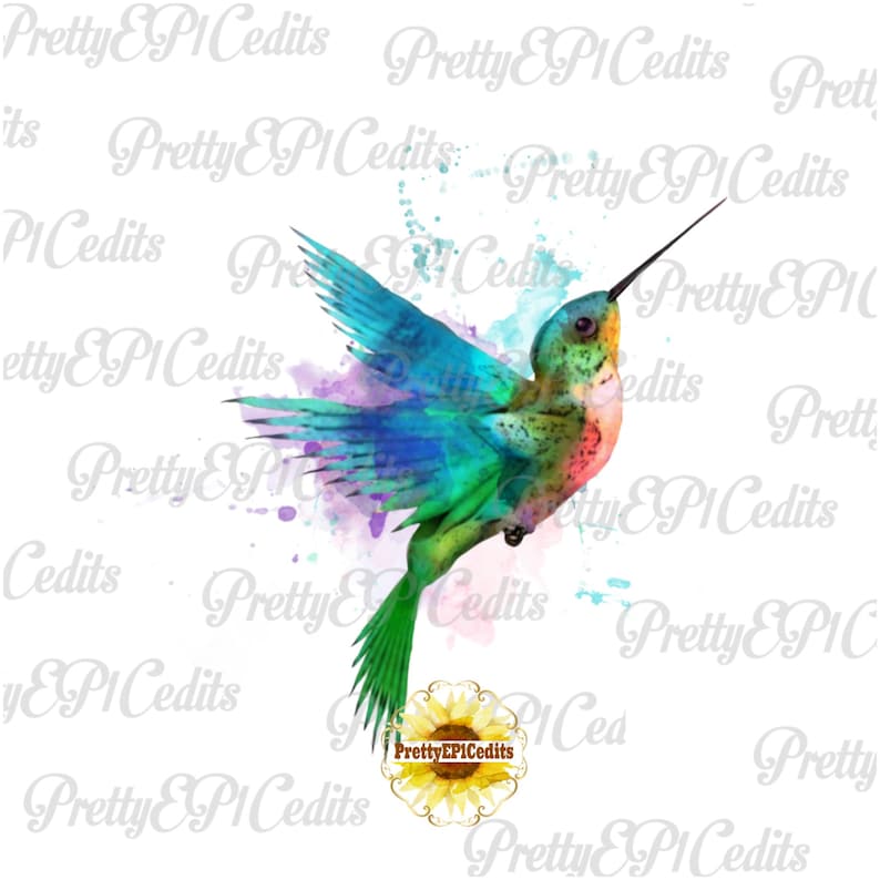 Może przedstawiać: Aquarela przedstawiająca kolibra w locie. Koliber jest namalowany w odcieniach niebieskiego, zielonego i r&oacute;żowego, z odrobiną fioletowego akwareli w tle.