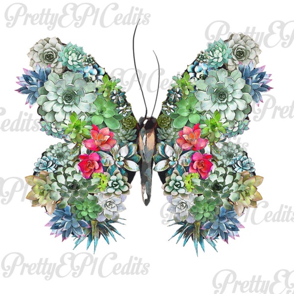 Watercolor Succulent Garden Butterfly, printable digital image, PNG, JPG
