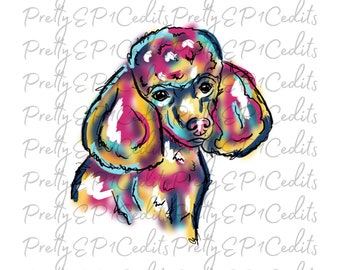 May include: A colorful illustration of a poodle with pink, blue, yellow, and white paint. The poodle is looking to the left of the image.