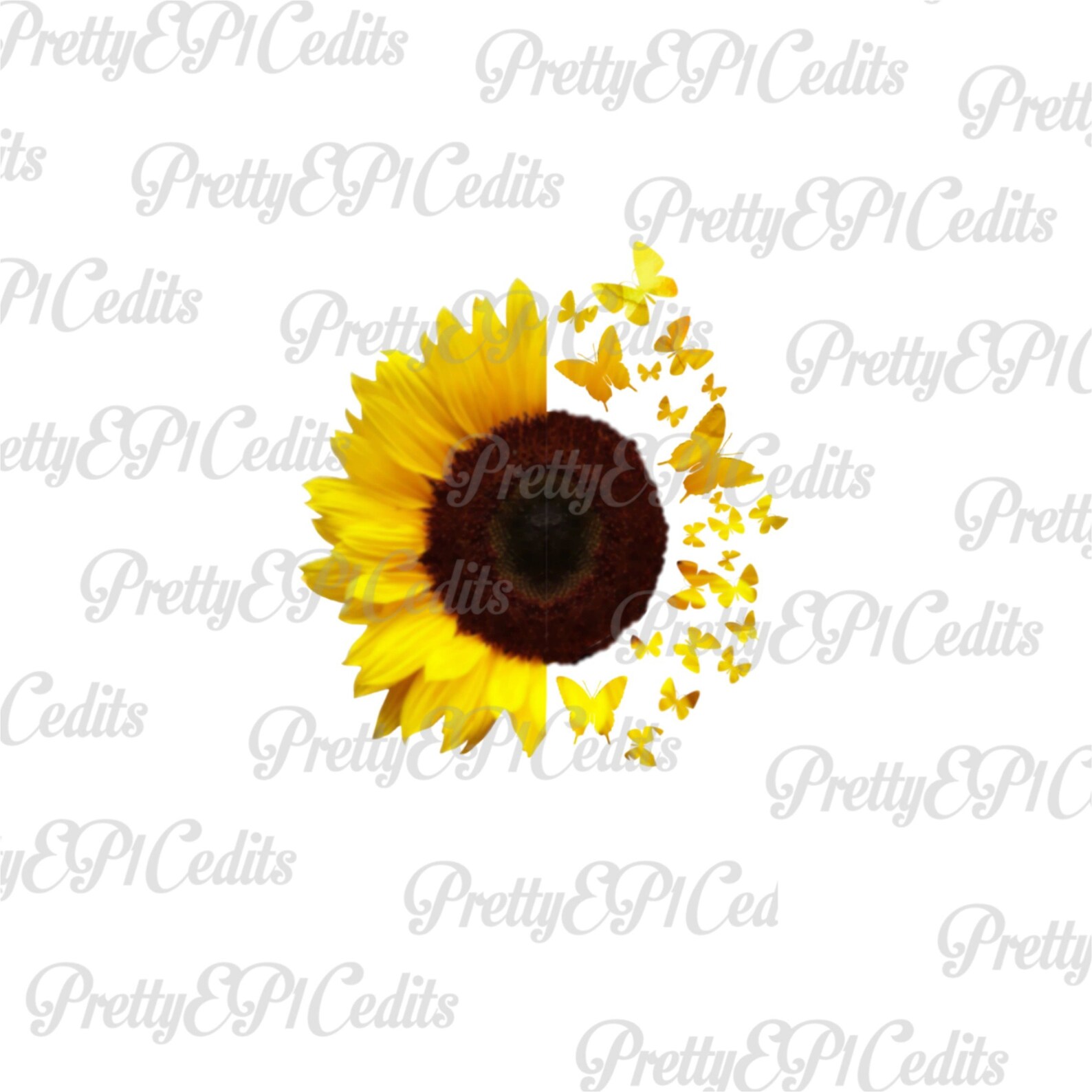 Butterflies Half Sunflower Quotes 2 File Bundle You Are Etsy