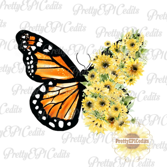 Download Vintage Monarch butterfly Sunflower butterfly half ...