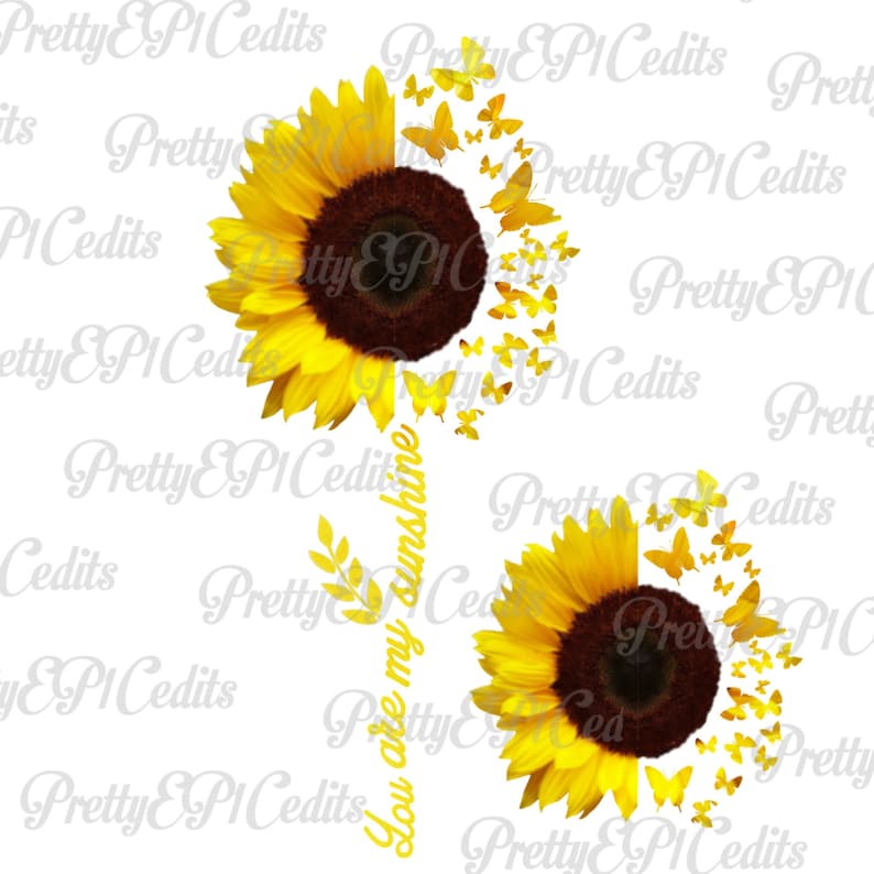Free Free 144 Sunflower And Butterfly Svg Free SVG PNG EPS DXF File
