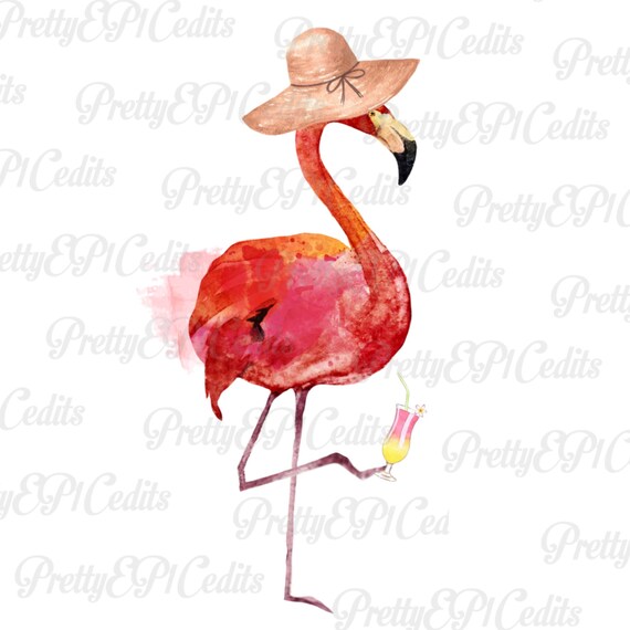 Beachy Flamingo Flamingo Hat in My 