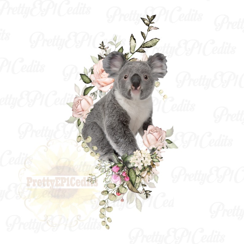 Koala Watercolor Koala Koala Flower Frame Sublimination Etsy