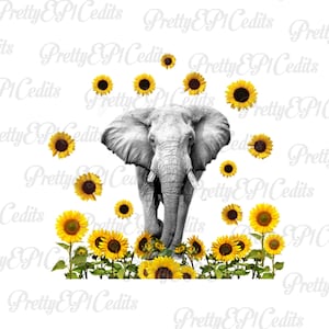 Imágenes prediseñadas de girasol elefante, PNG, descarga digital,