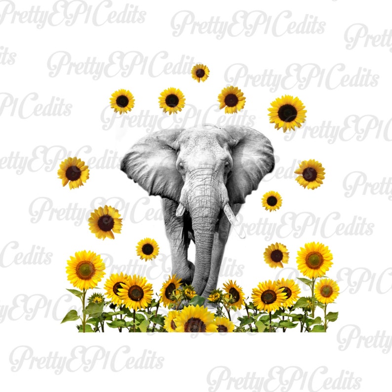 Elephant sunflower clip art PNG digital download Etsy
