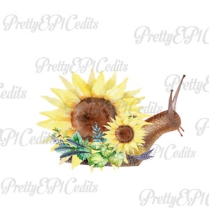 Aquarelle Tournesol Jardin escargot, boho, image numérique, clip art, PNG, JPG