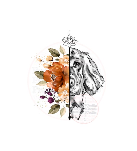 English Setter Sketch With Flowers, Dog With Flowers, Half Dog