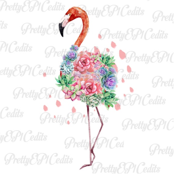 Download Watercolor Flamingo Watercolor Succulents Flamingo Garden Etsy