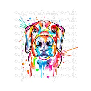 Labrador aquarela, design de sublimação Labrador, cachorro pop art, sublimação de cachorro aquarela, download digital, PNG, JPG