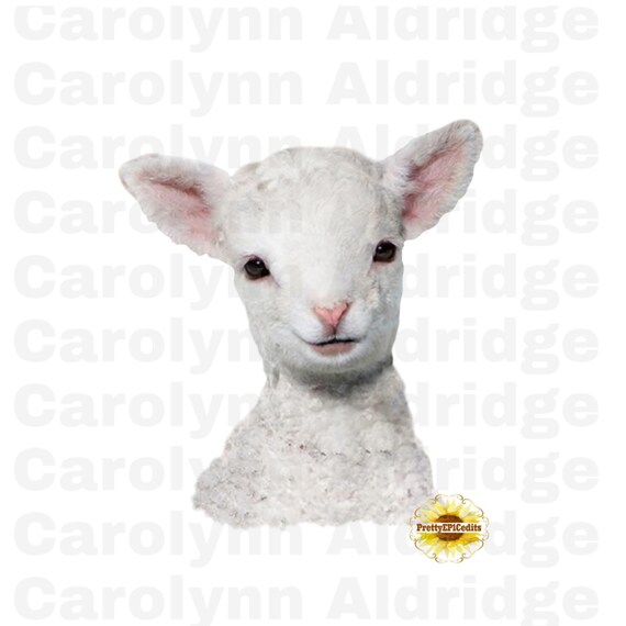 PNG farm animals Watercolor Lamb digital download JPG clip art red bandanna