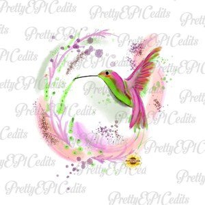 Aquarelle colibri, colibri png, conception de sublimination colibri, téléchargement numérique, clip art, PNG, JPG