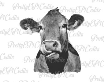 Puede incluir: Una foto en blanco y negro de una vaca con la lengua fuera. La vaca está mirando directamente a la cámara.