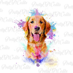 Golden retriever aquarela, dourado, cachorro aquarela, collie arco-íris, download digital, clip art, arquivo PNG
