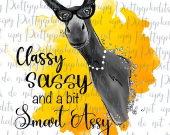 May include: A watercolor illustration of a donkey wearing sunglasses and a pearl necklace. The donkey is on a yellow background with the text "Classy Sassy and a bit Smart Assy".