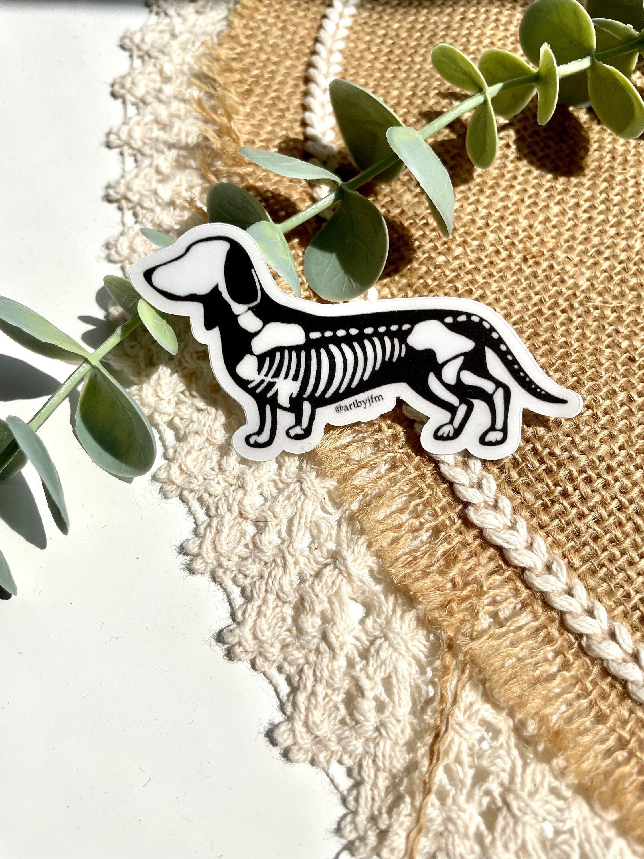 Clear Dachshund Skeleton Spooky Halloween Waterproof Etsy