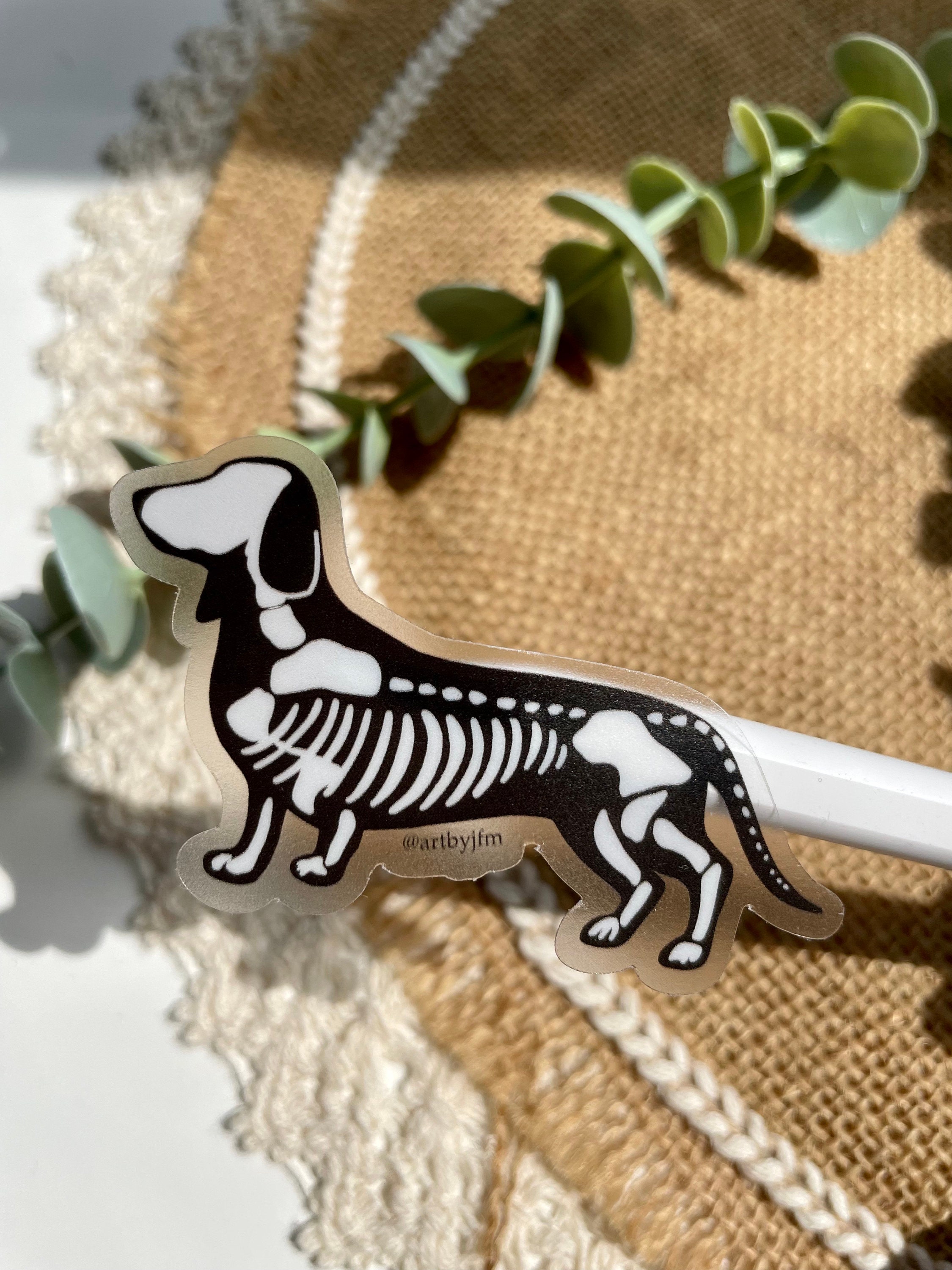 Clear Dachshund Skeleton Spooky Halloween Waterproof Etsy