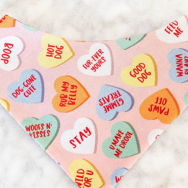 Candy Hearts Dog Bandana - Valentine's Day foodie pet bandana - Reversible - Snap-On - Multiple Sizes