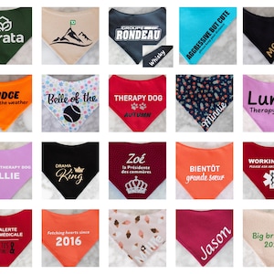 May include: A collection of twenty triangular pet bandanas in various colors and patterns, featuring custom text and graphics including names, titles, and symbols like crowns, mountains, and medical emblems, displayed in a grid layout.