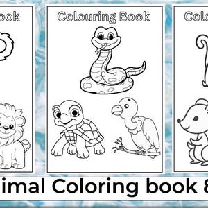 Kids Animal Colouring Book