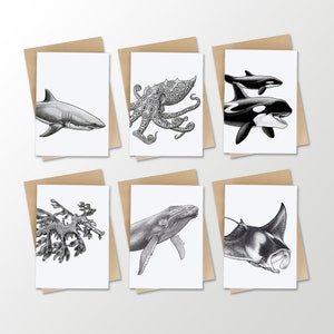 海の動物グリーティングカードパック（6）封筒付き | サメ | タツノオトシゴ | マンタ | シャチ | タコ | クジラ | 海の文房具セット