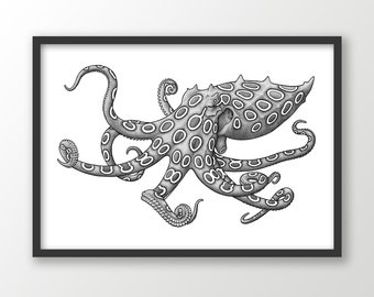 Blue Ringed Octopus art print | black and white | ocean wall art | nautical drawing | coastal beach decor | marine animal | scuba gift