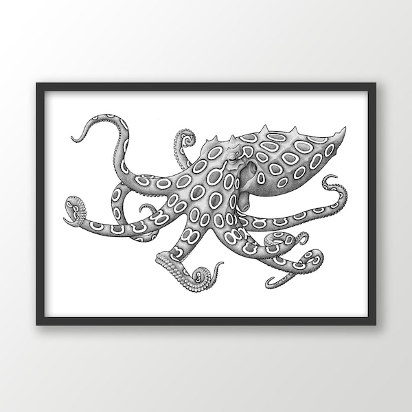 Blue Ringed Octopus art print | black and white | ocean wall art | nautical drawing | coastal beach decor | marine animal | scuba gift