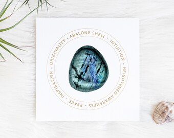 Abalone Meaning Gift Etsy