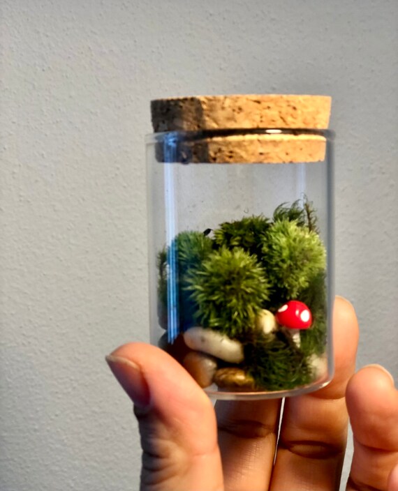 Mini Terrarium With LIVE Moss, Mushrooms and Gemstone 