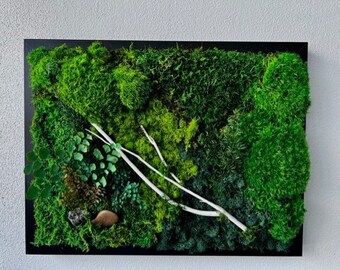 Small Live Moss Terrarium With Cork Lid Live Plant Terrarium - Etsy