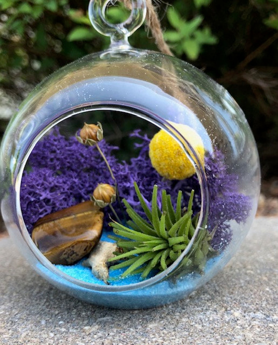 Small Air Plant Terrarium Kit / Glass Globe/ Moss Sand or Etsy