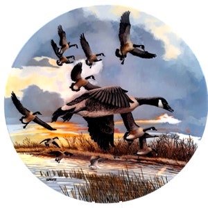 The Landing - Canadian Geese Collector Plate Bradford Exchange 1986 Plate #13303