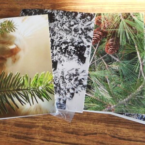 Cartoline fotografiche con scene invernali