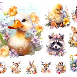 Kwiatowe zwierzęta Baby Shower clipart Bundle, 15 wysokiej jakości plików JPG, akwarela zwierzęta z kwiatami tworzenie kart, cyfrowe pliki do pobrania clipart