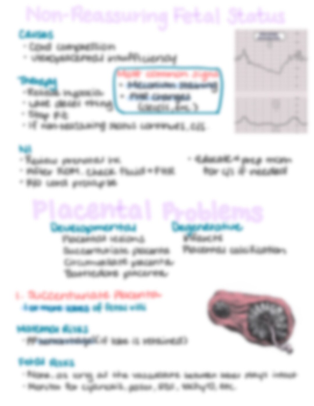 OB / GYN Nursing School Notes - Etsy