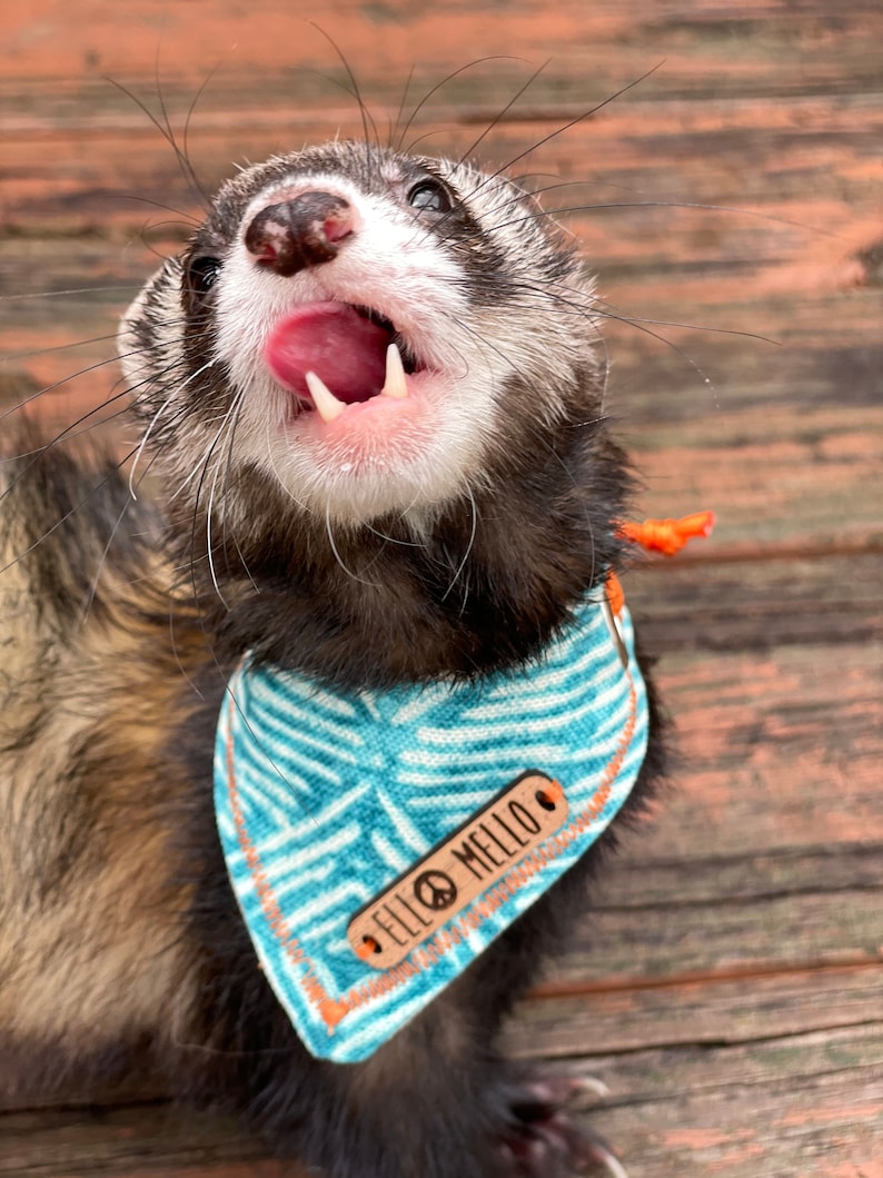 Sea breeze Ferret Bandana Ferret scarf Ferret accessories Clothes for ferrets Gifts for ferrets Ferret shop image 5