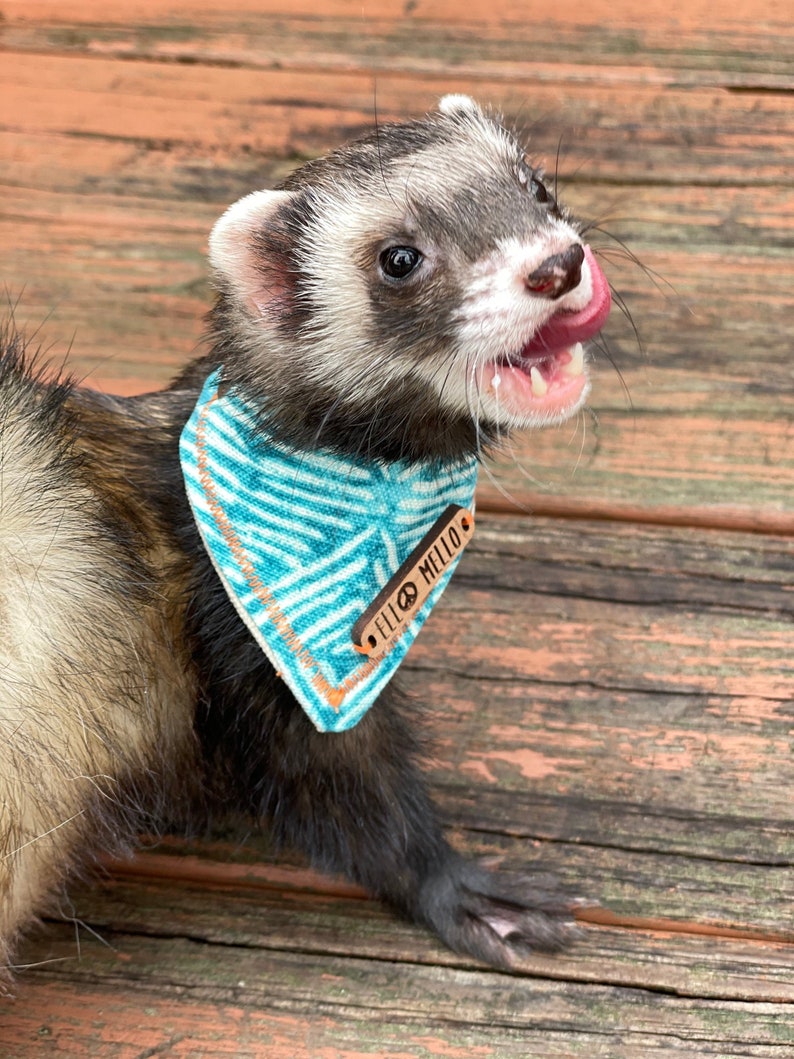 Sea breeze Ferret Bandana Ferret scarf Ferret accessories Clothes for ferrets Gifts for ferrets Ferret shop image 1