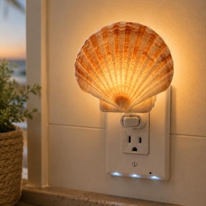 May include: A seashell-shaped night light plugged into a white wall outlet. The shell is textured with radial ridges and displays warm orange and tan gradients. The light emits a soft, golden glow from behind the shell, illuminating the wall.
