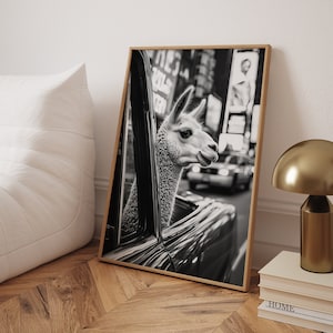 Llama in Times Square Vintage Poster: Black and White New York Wall Art